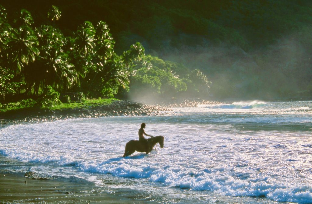 マルケサス諸島の海で、馬に入って遊ぶ人