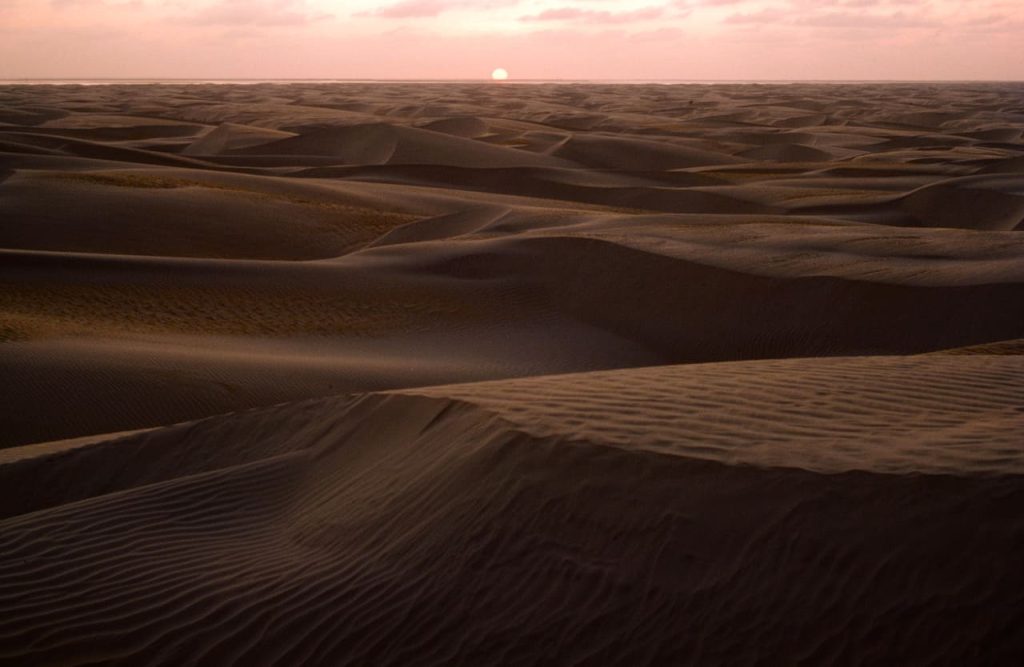 バハ・カリフォルニア砂漠