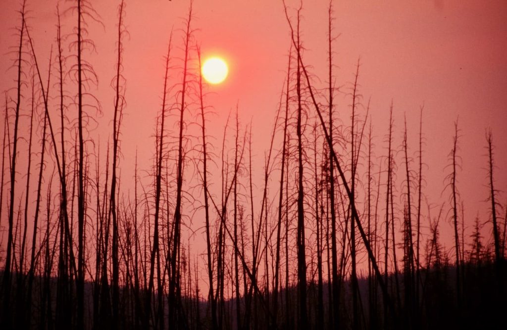 山火事の煙を通して見えたアラスカの太陽